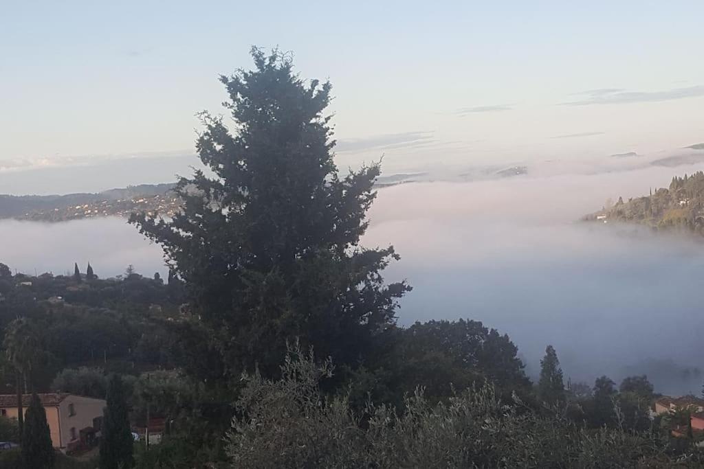 De 1 A 6 Avec Terrasse Solarium, Vue Panoramique Et Parking Gratuit Lejlighed Grasse Eksteriør billede